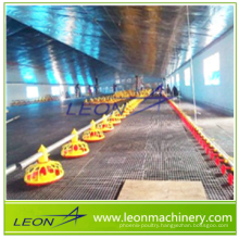 LEON automatic chain feeding system poultry equipment for breeders